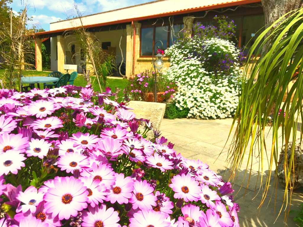 Agriturismo Le Tagliate Уджано-ла-К'єза Екстер'єр фото